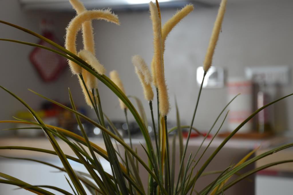 Luxury Apartment In Rattazzi Rome Luaran gambar